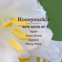 Default Title