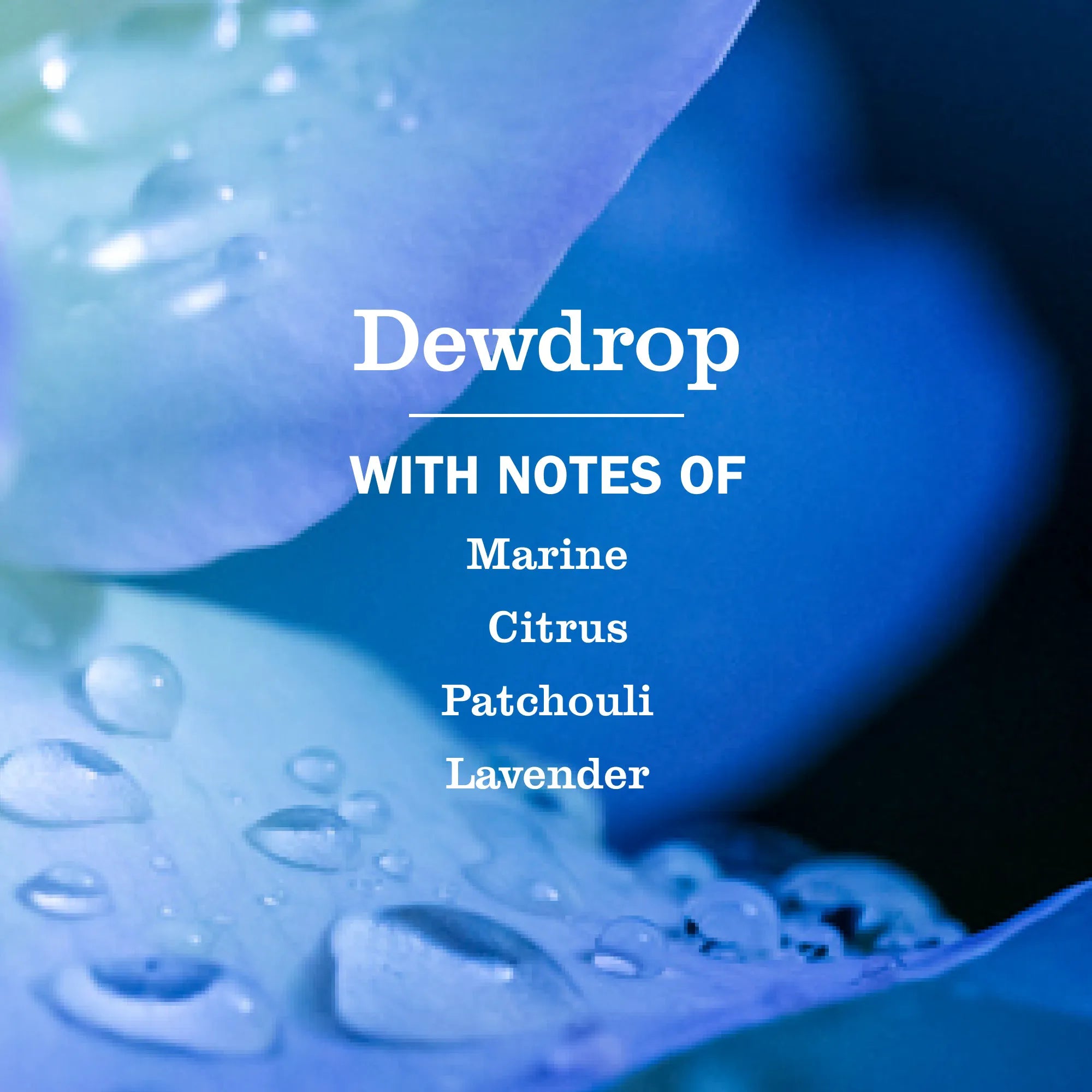 Default Title