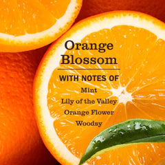 Default Title