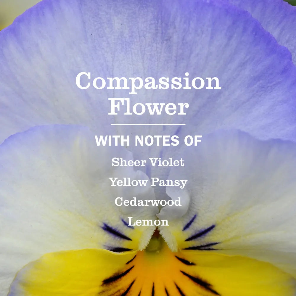 Default Title