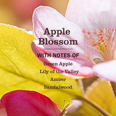 Default Title