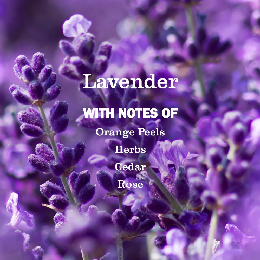 Default Title